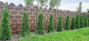 Покраска еврозабора под дерево 21
